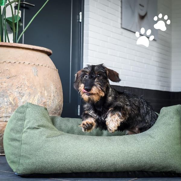 Madison Cuscino Per Cani Da Esterno Manchester 100X80X25 Cm Taupe-image