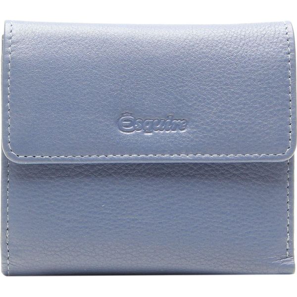 Esquire Pelle Portafoglio Viktoria Little Wallet Dove Blue Celeste-image