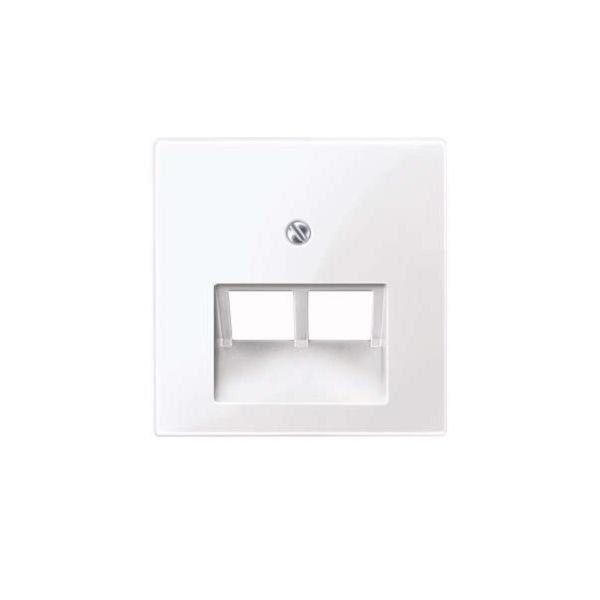 Merten 296125 Placca Di Centro Per Inserto Uae, 2 Ingressi, Bianco Attivo Lucido, Sistema M-image