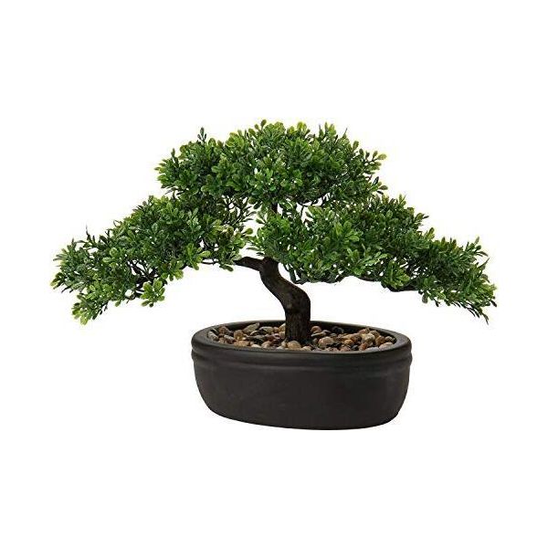 Bonsai Artificiale, Pianta Realistica Di Pino Cedro -Podocarpus, Fioriera In Plastica Di Ceramica In Nero Bagno Decorazione Davanzali Ufficio Desktop-image
