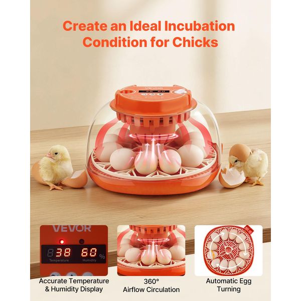 Vevor Incubatrice Completamente Automatica A 12 Uova, Incubatrice Per Uova, Con Giratore Di Uova, Controllo Della Temperatura E Dell'umidità, Incubatrice Per La Cova Di Pulcini, Anatre, Oche E Quaglie-image