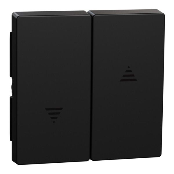 Merten MEG3855-0403 Bilanciere Per Interruttore E Pulsante Per Tapparelle, Nero Opaco, Sistema M-image