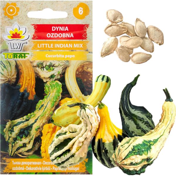 Zucca Ornamentale Piccola Indiana Mix 2G Semi Mix Di Colori E Forme Di Zucca-image