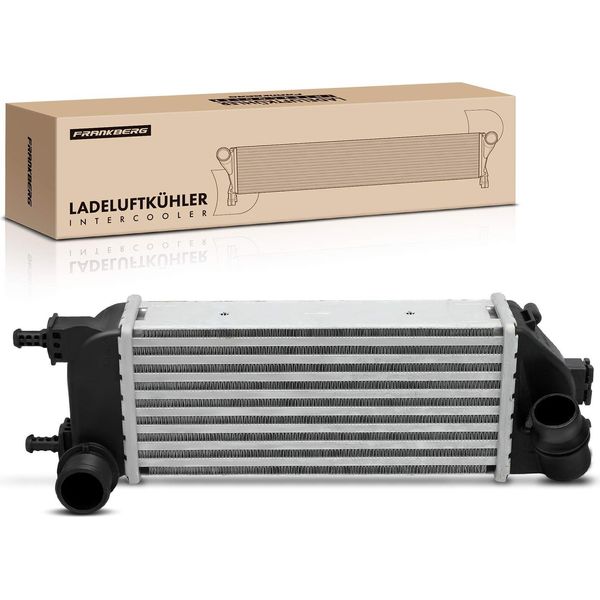 Frankberg 1X Intercooler Turbocooler Per Fiat 500 500 C 312 Panda 312 319 1.3L 1.4L-image