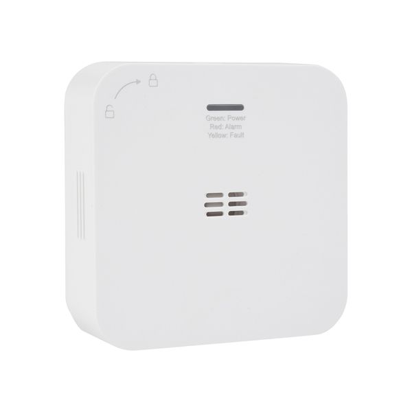 Smartwares Rilevatore Di Monossido Di Carbonio FGA-13800, Wlan-image