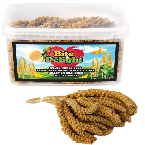 Bite&Delight - Miglio Senegalese Bianco 3 Kg In Flaconi - Trattamento Naturale Per Pappagalli, Uccelli Ornamentali E Selvatici, Ricco Di Fibre E Sostanze Nutritive-image