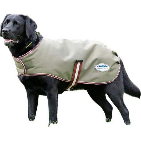 Weatherbeeta - Cappotto Per Cani "Comfitec Premier Free Parka Medium"" WB2231 (25 Cm) (Blu Scuro/Grigio/Bianco/Viola Chiaro)"-image