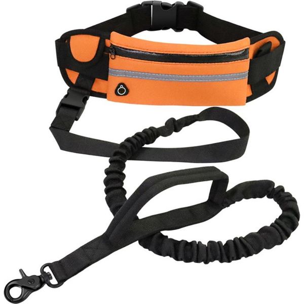 Guinzaglio Per Cani A Mani Libere Con Tasca Con Zip, Riflettente, Per Jogging E Passeggiate Notturne-image