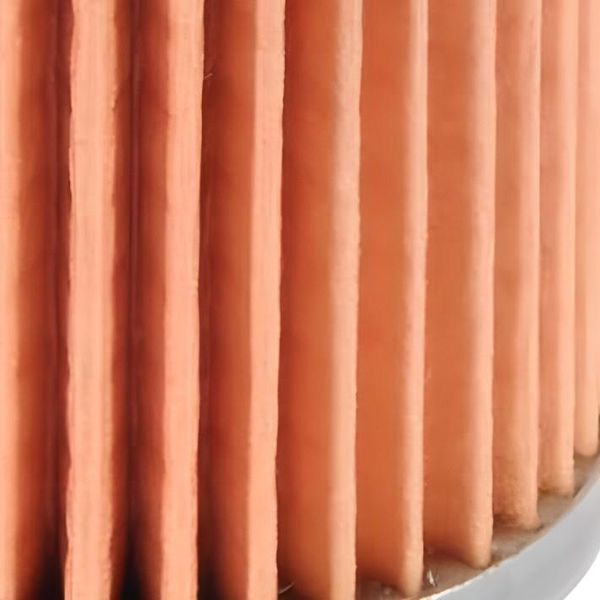Filtro Olio Polini Compatibile Con Suzuki Burgman 250, Yamaha Majesty 400-image