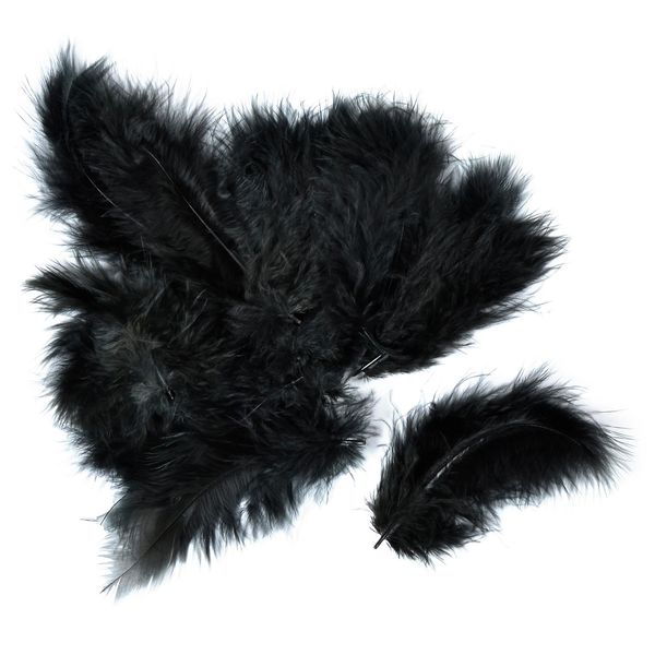 Piume Meyco Marabu In Nero 17 Pezzi Lunghi Circa 10-12 Cm-image