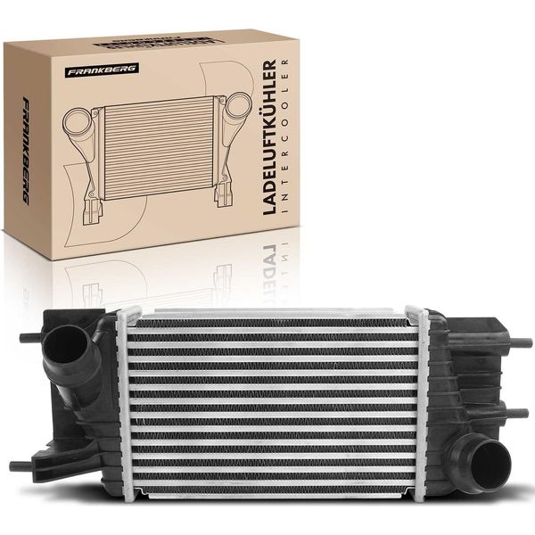 Frankberg 1X Intercooler Turbocooler Per Nissan Juke F15 NV200 Van Evalia Bus 1.5L-image