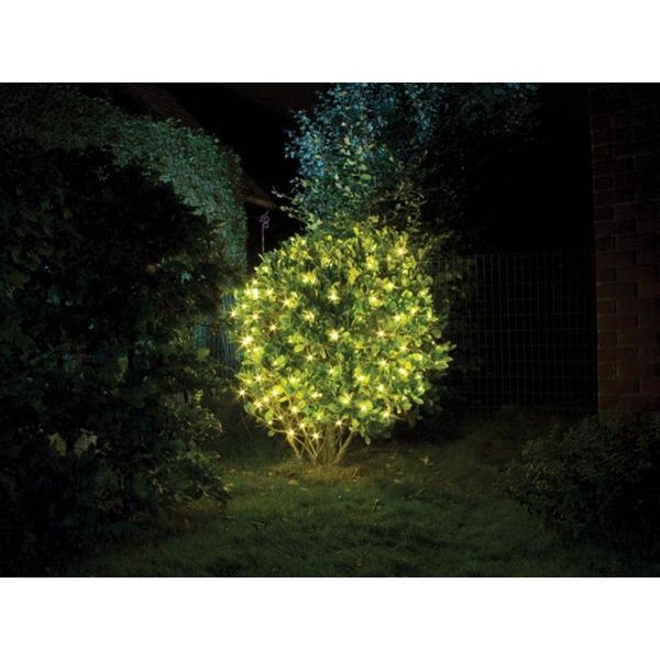 Smart Netlight Led - 1.2 X 1.2 M - 60 Lampade Bianco Caldo - Filo Verde - Modulatore - Batterie Non Fornite-image