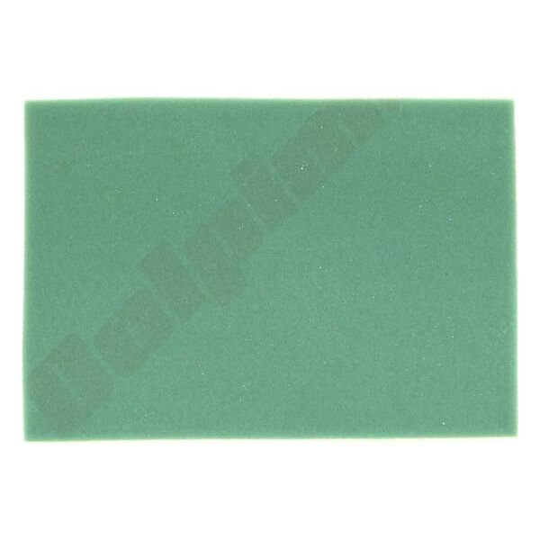Filtro Aria Per Briggs & Stratton ( 399039 )-image