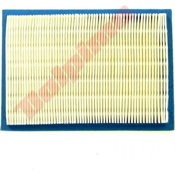 Filtro Aria Per Briggs & Stratton ( 397795 , 395027 ) 165X114X19-image
