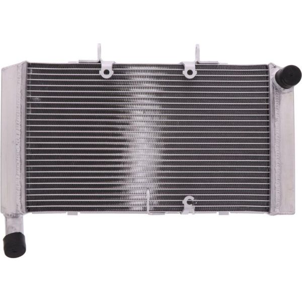Radiatore Acqua Jmp 2019040109 Per Honda Cbr 600-image