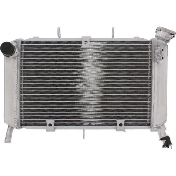 Radiatore Acqua Jmp TRS-R-560 Per Yamaha FZ6-image