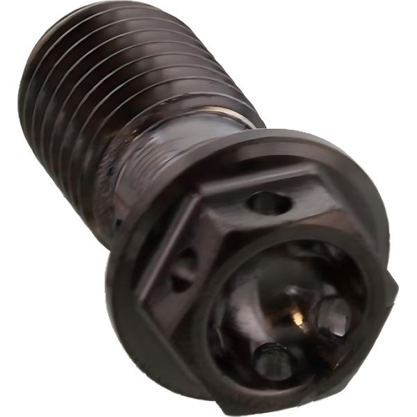 Bullone PRO-BOLT Banjo Singolo M10X1,25 Jmp Bolt Inox Va4 Racing Nero-image