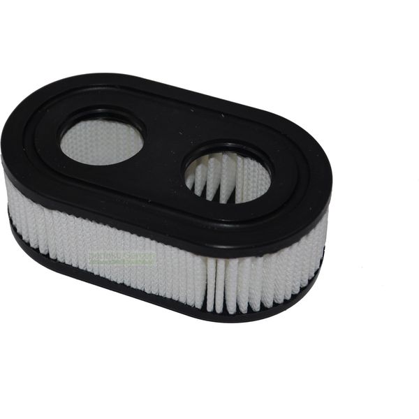 Filtro Aria Briggs & Stratton B&S Engine 550E 550EX 575EX 575593260 798339 798452-image