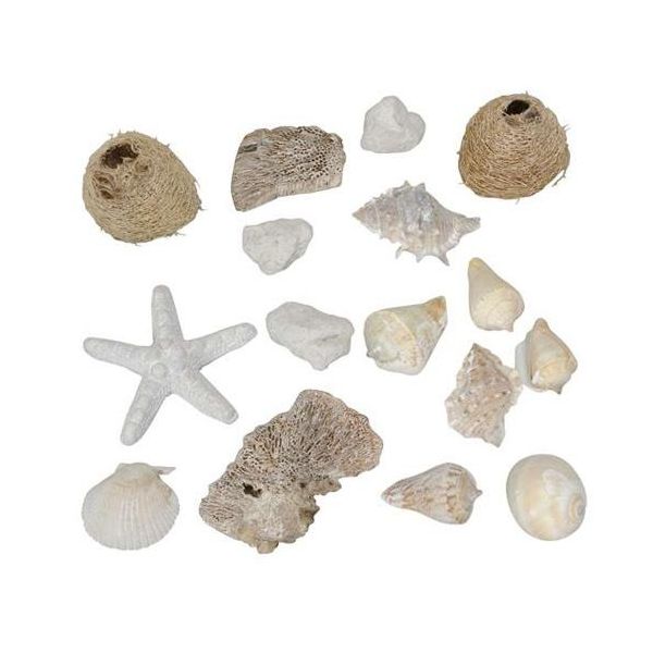 Decorazione Da Tavolo In Conchiglia Marittima Bianco Naturale 400G-image