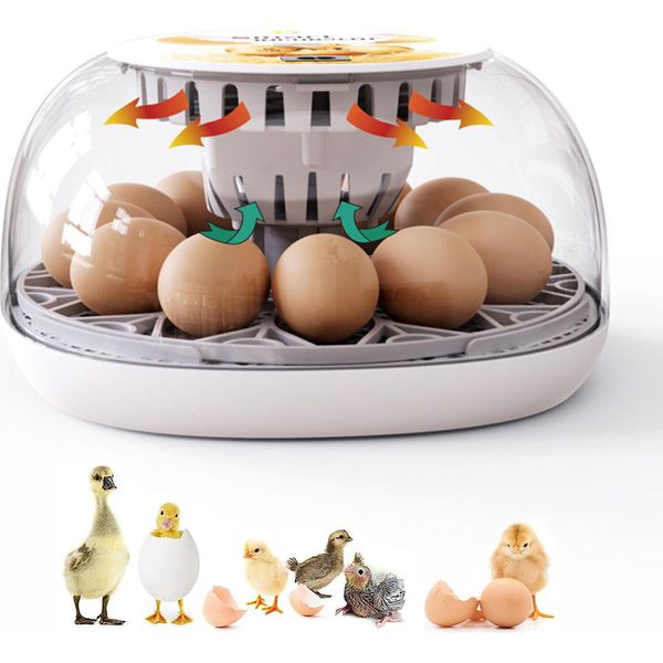 Incubatrice Completamente Automatica, Incubatrice A 12 Uova Con Display, Controllo Della Temperatura Incubatrice Di Uova Hatcher Per Gallina Oca, Anatra, Piccione, Quaglia-image