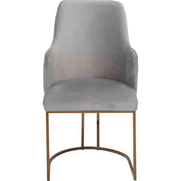 Sedia Da Pranzo Moderna Sedia Da Cucina Sedia Di Lusso Design Poltrona Grigio Jvmoebel-image