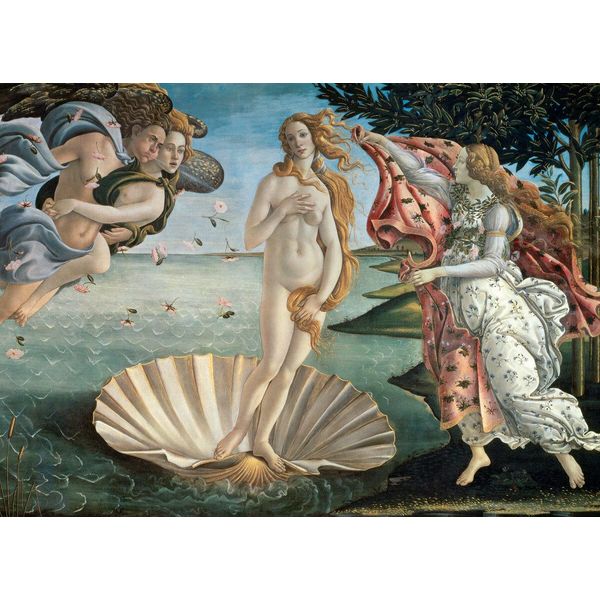 Puzzle Da 1000 Pezzi - Puzzle - Sandro Botticelli - Nascita Di Venere + Cornice In Alluminio Per Puzzle Da 1000 Pezzi-image