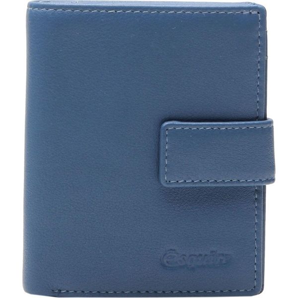 Esquire Pelle Portafoglio Viktoria 62 Wallet Dove Blue Grigio Cadetto-image
