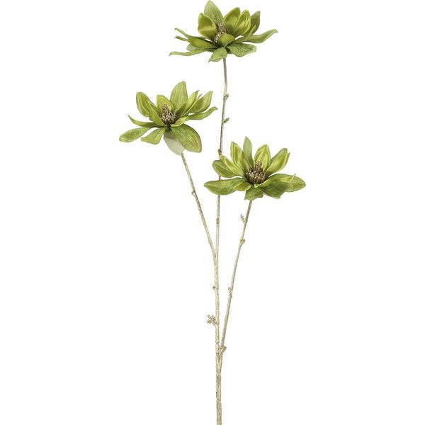 Countryfield Fiore Artificiale Magnolia Decorazione Verde Oro 81Cm Fiore-image