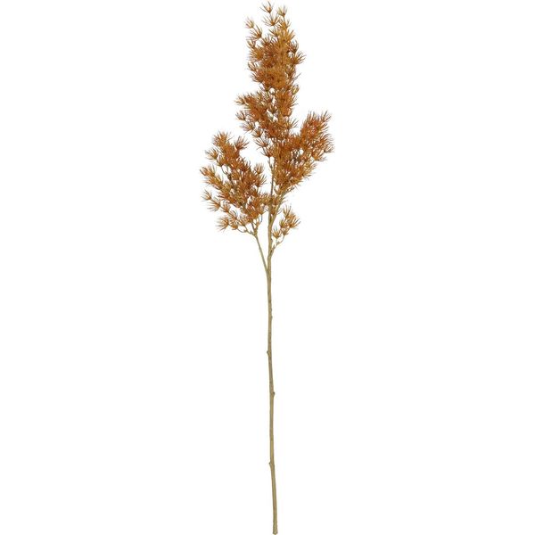 Countryfield Fiore Artificiale Asparago Arancione Decorazione 73 Cm Plastica-image