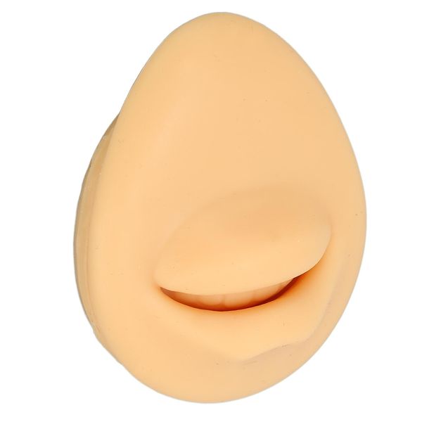 Modello Di Bocca In Silicone, Modello Di Bocca Umana, Modello Di Bocca Umana Di Simulazione, Modello Di Bocca Finta, Modello Di Bocca Artificiale, Strumento Di Visualizzazione Della Bocca-image