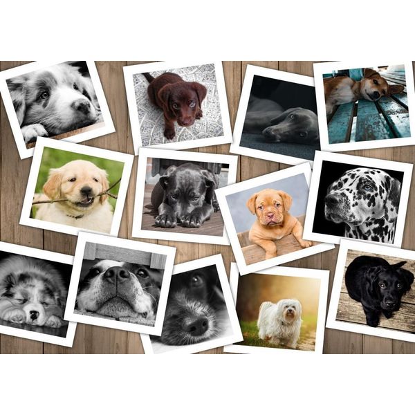 Grafika Puzzle Cani - 1500 Pezzi Collage Animali Jigsaw-image
