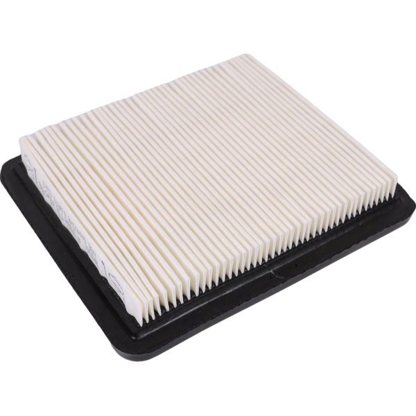 Filtro Aria Briggs&Stratton Quantum 491588S, 494245, 399959 Originale-image