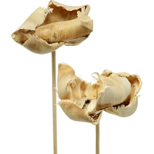 Fiori A Coppa Di Palma Sbiancati Su Stelo, Decorazione Naturale, Fascino Esotico, Fiori Secchi Per Composizioni Eleganti, Set Di 25 Pezzi-image