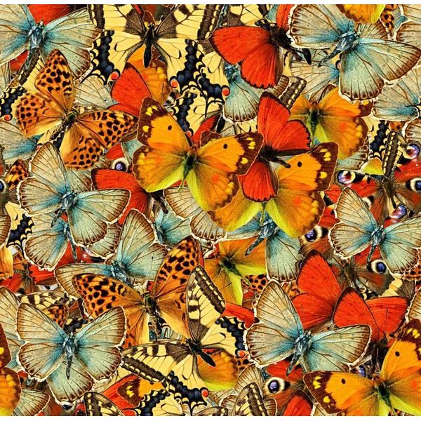 Grafika Puzzle Farfalle 1000 Pezzi Colorati Gioco Di Posa-image