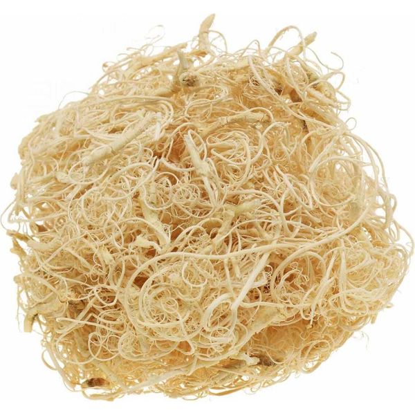 Fibra Di Tamarindo Sbiancato 500 G - Fibra Decorativa Esotica Per Decorazioni Creative Da Tavola-image