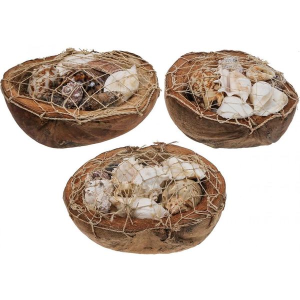 Decorazione Marittima Conchiglie Di Cocco Naturale Conchiglie Di Lumaca Decorazione Da Tavolo Appeso Decorazione Set 3 Pezzi 18-19Cm-image