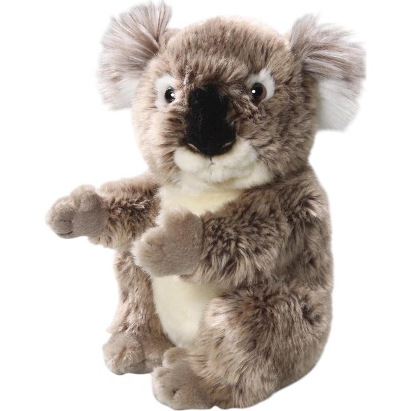Orso Carl Dick Koala Di Circa 22 Cm, Peluche, Peluche, Peluche 3681-image