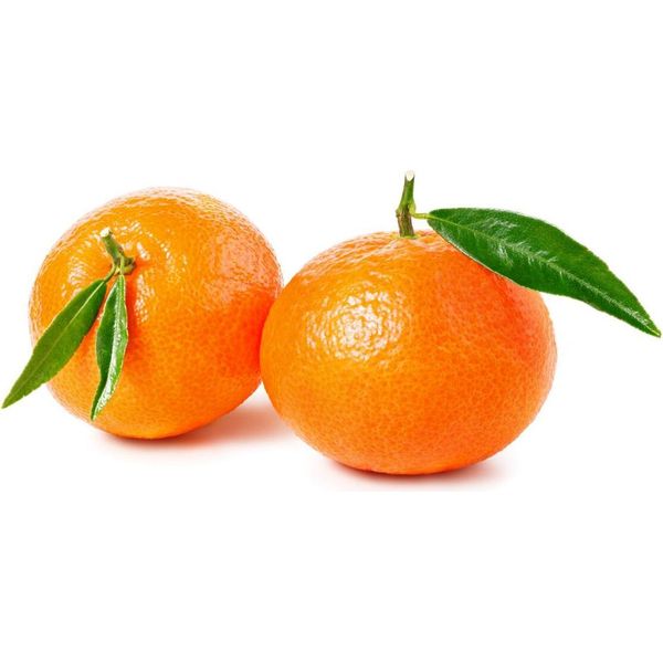 Albero Di Limoni Clementine Spinoso (120-150 Cm) - Pianta Di Clementine Dolci Per Giardino E Terrazzo, Resistente, Fruttifera-image