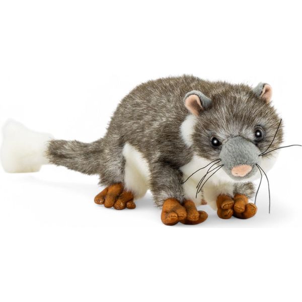 Carl Dick Opossum Di Circa 22 Cm, Peluche, Peluche, Peluche 3727-image