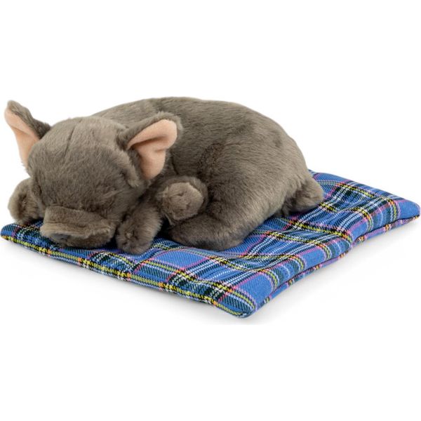 Carl Dick Bulldog Francese Su Cuscino 23 Cm Circa, Peluche, Peluche, Peluche 3713-image