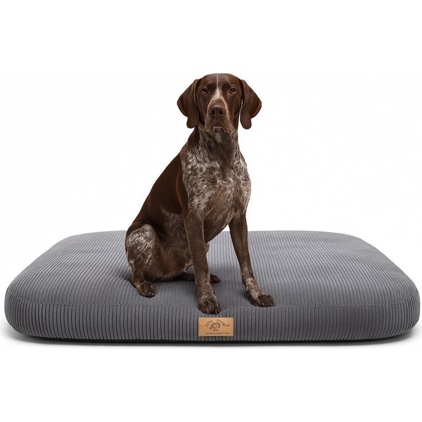 Letto Ortopedico Per Cani Cuscino Per Cani Divano Per Gatti 130X75Cm-image
