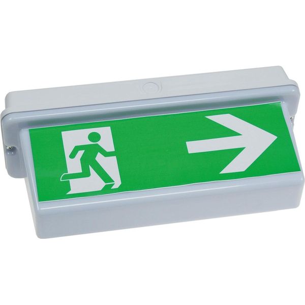 Chilitec Luce Per Vie Di Fuga A Led NL-D2 30 Led IP65 Per Montaggio A Soffitto-image