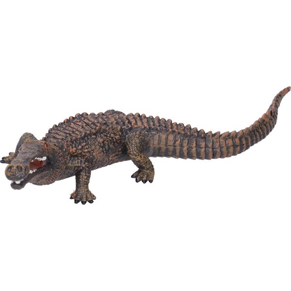 Coccodrilli Action Figures Giocattolo Simulazione Animale Selvatico Collezione Modello Per I Bambini-image
