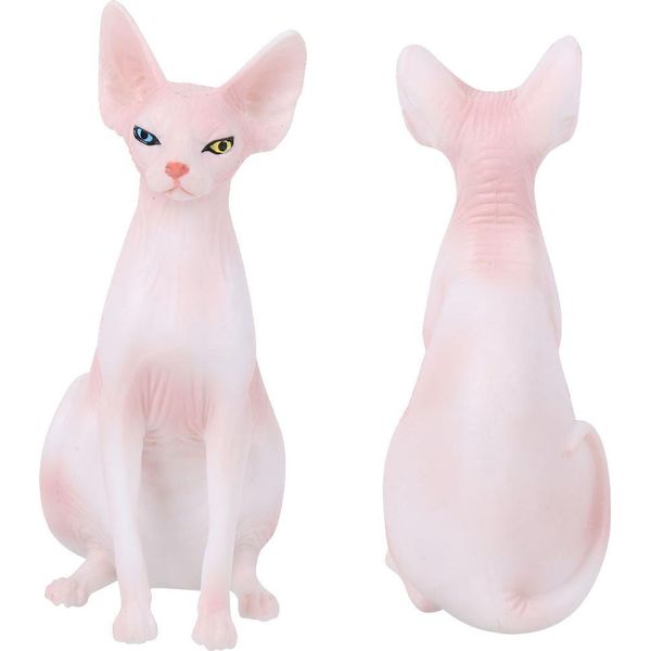 Simulazione Gatto Senza Capelli Modello Casa Ornamenti Desktop Decorazione Bambino Toypl127-1562-image