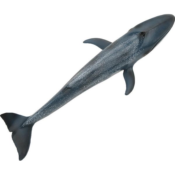 Modello Di Pesce, Decorazione Della Casa, Bambino Educativo, Simulazione Carina, Giocattolo Animale In Miniatura-image