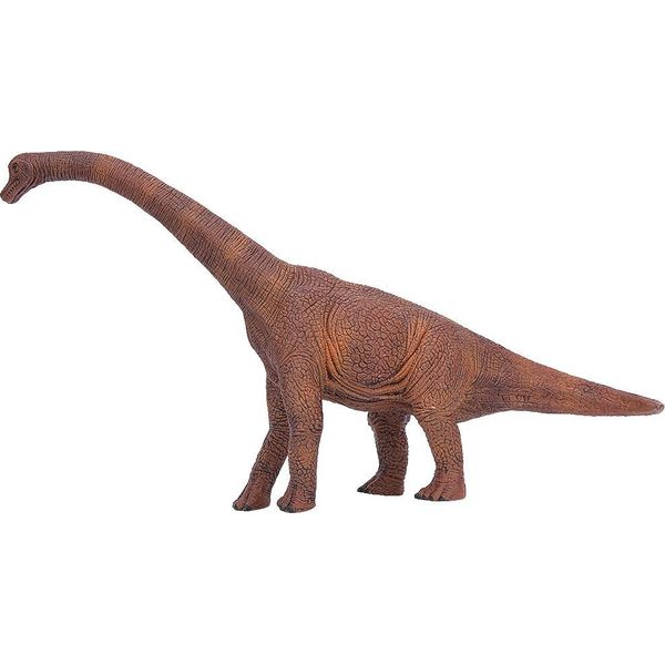 Simulazione Brachiosaurus Forma Animale Modello Statua Giocattolo Bambini Regalo Educativo DéCor-image