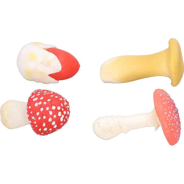 Set Di Modelli Di Funghi In Miniatura Da 4 Pezzi, Figure Di Simulazione Alte, Decorazione Per L'istruzione, Tipo 2-image
