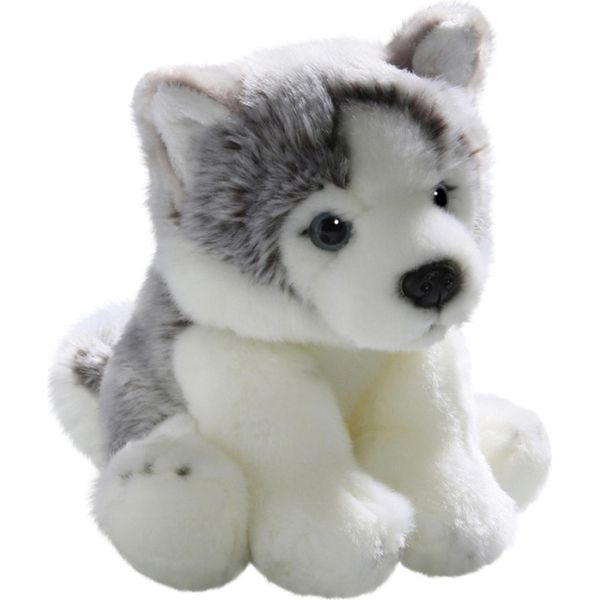 Carl Dick Cucciolo Di Husky Di Circa 22 Cm 3134 Peluche, Peluche, Peluche, Peluche-image