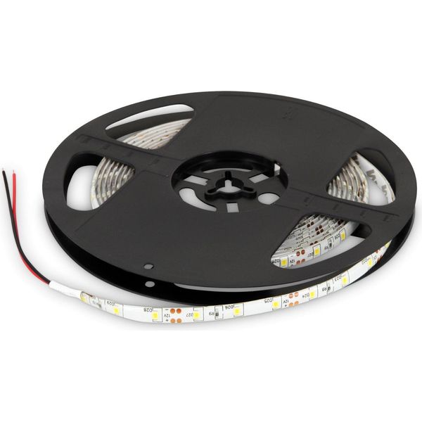 Striscia Led 5M 12V Dimmerabile IP65 - 24W Bianco Freddo-image