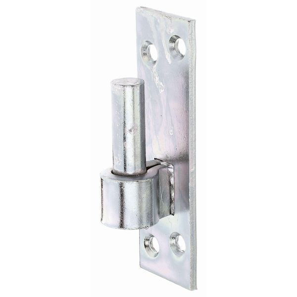 Alberts 318680 Staffa Su Piastra | Forma Sud-Tedesca Con Ganci Di O Dii | Zincata, Passivata A Film Spesso | Arretramento Ø13 Mm | Piastra 110 X 36 Mm | Set Da 3-image
